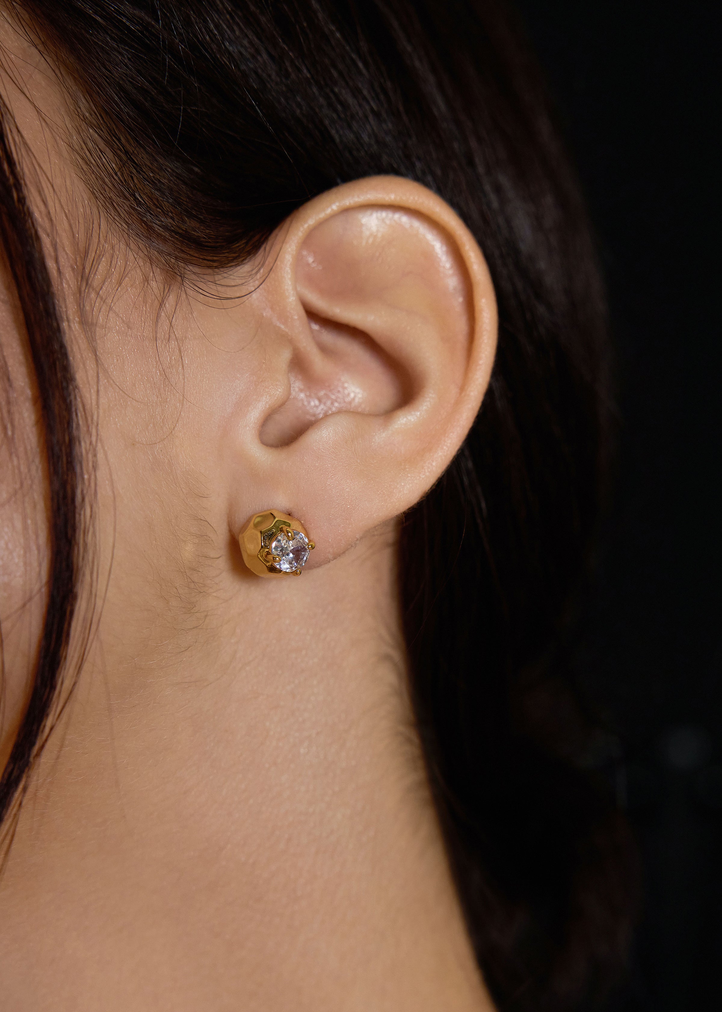 Faceted Stardust Earrings - booneealus