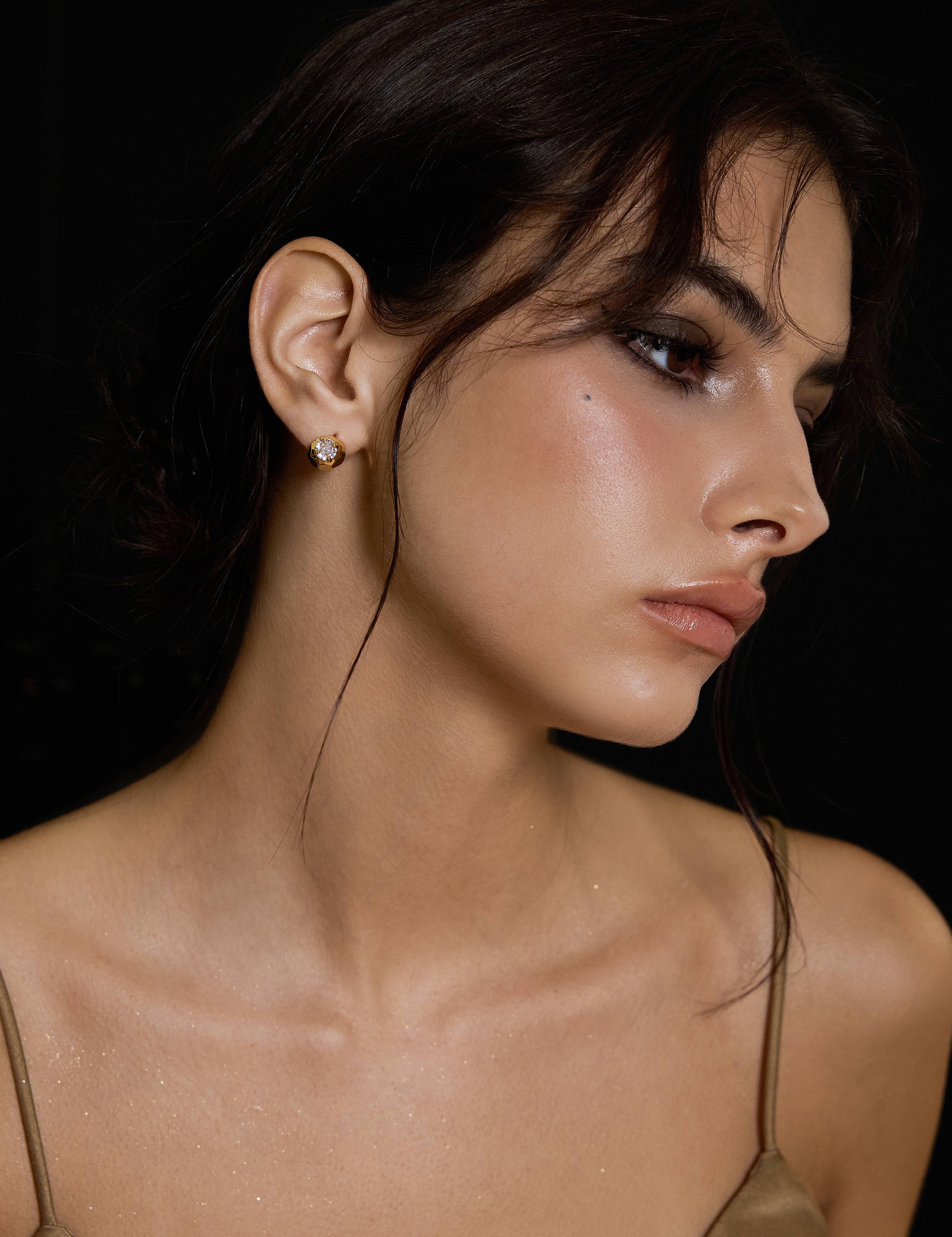 Faceted Stardust Earrings - booneealus