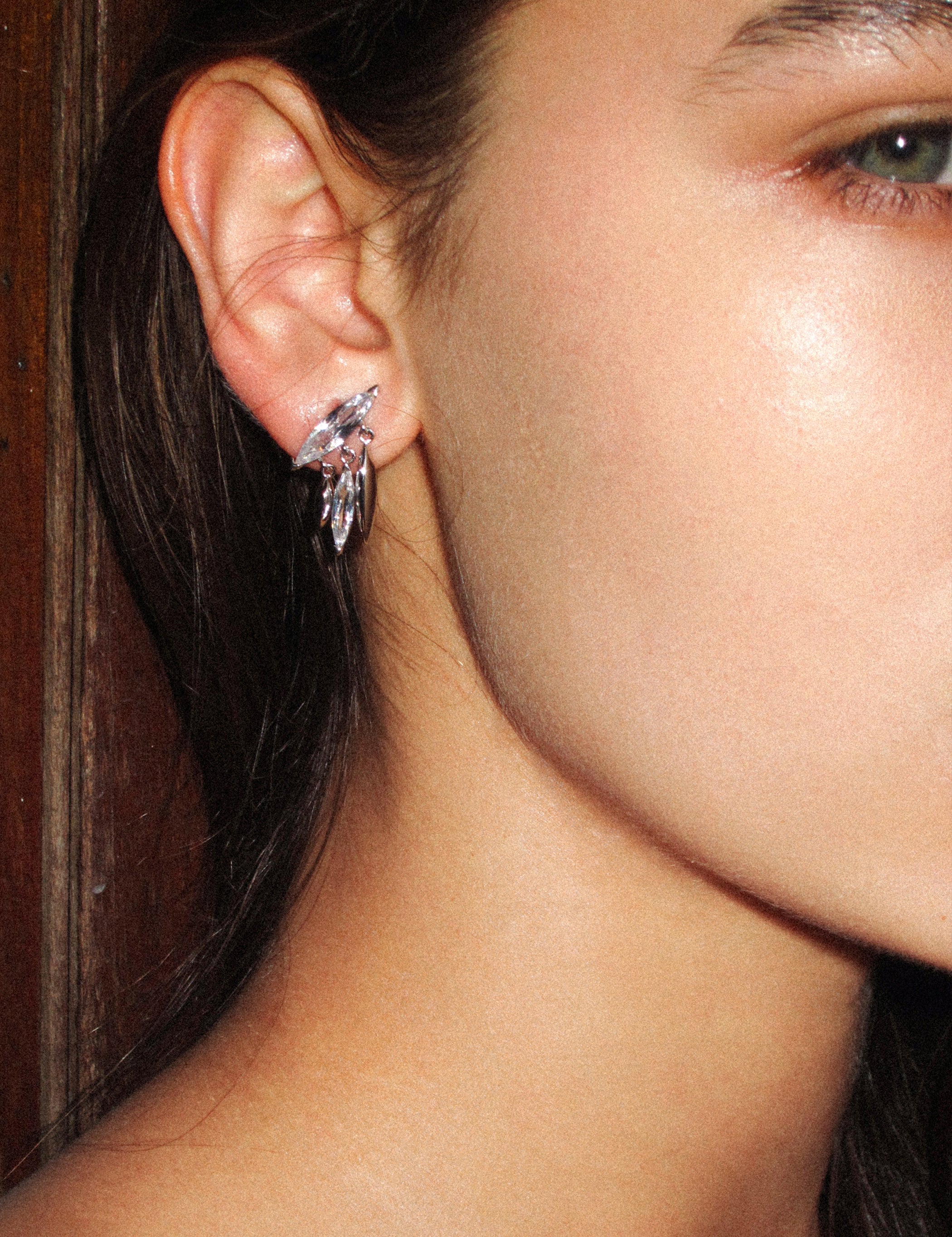 Horse Eye Zirconia Tassel Earrings - booneealus