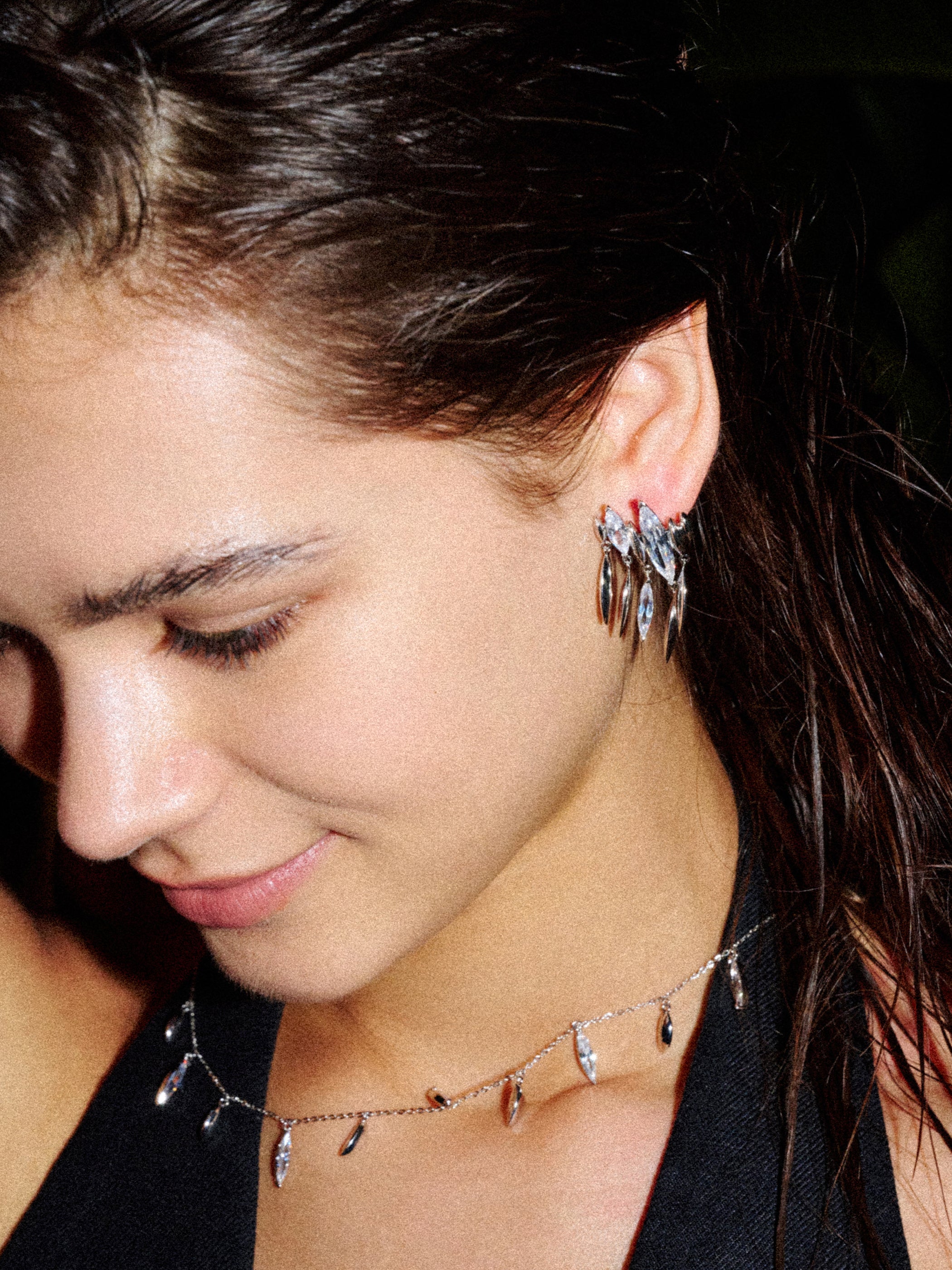 Zirconia Tassel Earrings - booneealus