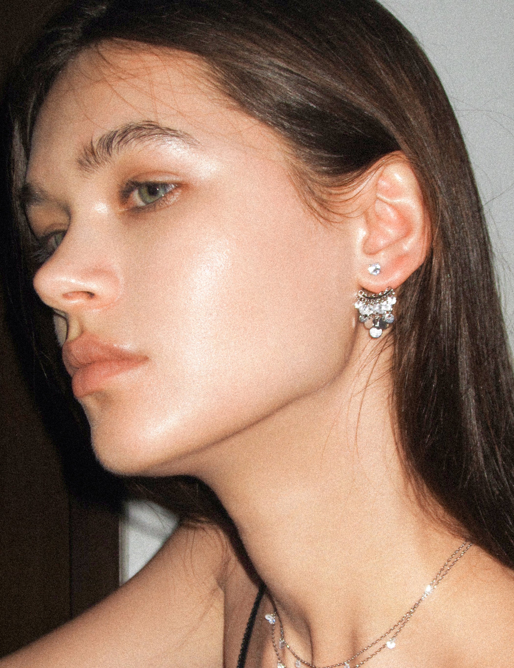 Multi-metal Disc Zircon Tassel Earrings - booneealus