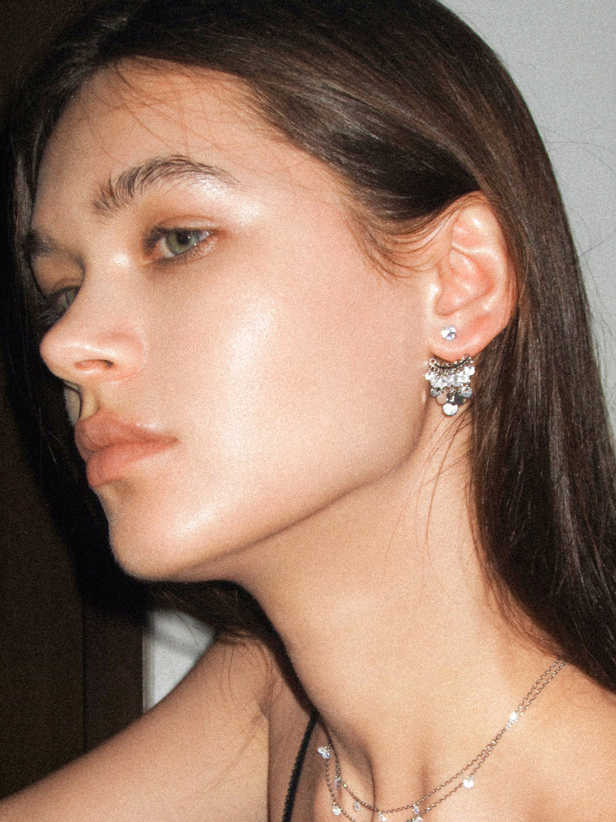 Multi-metal Disc Zircon Tassel Earrings - booneealus