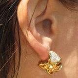 Braided Shell Shape Zirconia Earrings - booneealus